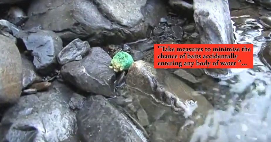 1080 pellet on stones in waterway