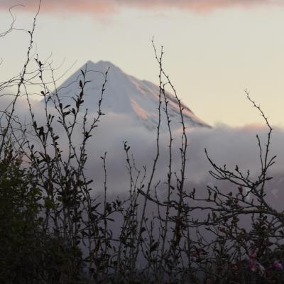 Taranaki Maunga Mt Egmont Pam Vernon Artist Nz 9
