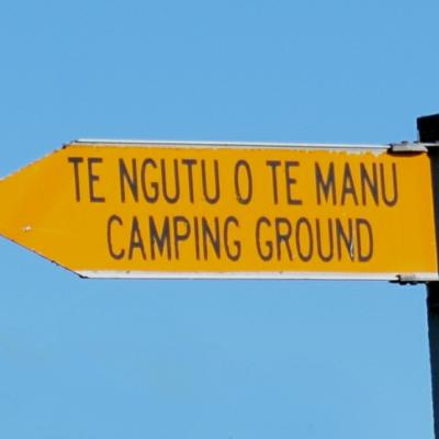 Te Ngutu O Te Manu Land War site  Pam Vernon Artist